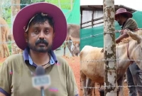 এই ইঞ্জিনিয়ার চাকরি ছেড়ে শুরু করলেন গাধার খামার, অতঃপর...