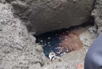 নেত্রকোনায় মাটিতে গর্ত করতেই বের হচ্ছে তেল