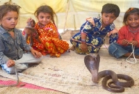  এই গ্রামের প্রত্যেক বাড়িতেই থাকে বিষধর সাপ!