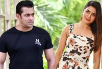 এবার সামান্থার সঙ্গে সালমান, বলিউডে উত্তেজনার পারদ