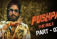 সর্বৈব মিথ্যা, সবটাই গুজব: 'পুষ্পা ২'-র প্রযোজক