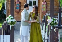 এবার যাকে বিয়ে করছেন আমির খান!