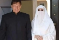  ইমরান খানের স্ত্রীর অডিও ফাঁস!