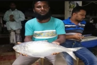 পৌনে ৩ কেজি ওজনের এক ইলিশের দাম ৮ হাজার টাকা!