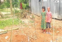 বাবা-মায়ের কবরের সামনে কাঁদছে দুই শিশু