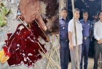 পামওয়েলের সঙ্গে রং দিয়ে হচ্ছে সরিষার তেল উৎপাদন, জরিমানা লাখ টাকা 