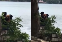 নির্জন স্থানে প্রেমিক-প্রেমিকার মজার ঘটনা ভাইরাল!