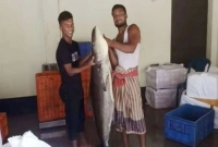 এক বিশাল শোল মাছ ধরা পড়ল, ওজন ৬০ কেজি!