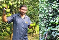 শুরু মাত্র এক লাখ টাকায়, এখন বছরে আয় ২৫ লাখ!