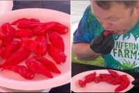 ১ মিনিটে ১৭টি ‘বোম্বাই মরিচ’ খেয়ে বিশ্ব রেকর্ড!