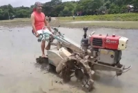 এমপি জগলুল এবার পাওয়ার টিলার দিয়ে জমি চাষ করলেন!