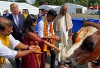 'গোমাতা' পূজায় ব্যস্ত ব্রিটেনের প্রধানমন্ত্রী পদপ্রার্থী ঋষি