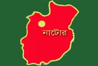 বিষ খেয়ে হেঁটে গিয়ে মায়ের কাছে ক্ষমা চান স্বামী-স্ত্রী