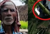 বউয়ের ভয়ে এক মাস ধরে তালগাছে বাস করছেন স্বামী!