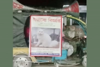 বিড়ালের জন্য তিন দিন ধরে দিন-রাত মাইকিং!