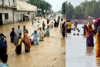 ভয়াবহ বন্যায় পাকিস্তানে ক্ষতিগ্রস্তদের ত্রান দিচ্ছে বাংলাদেশ