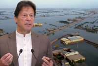 ক্ষমতা হারালেও জনপ্রিয়তার তুঙ্গে ইমরান খান