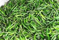যা হতে পারে কাঁচা মরিচের বিকল্প
