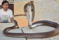 বদলা নিতে যুবককে ৫ দিনে ৫ বার ছোবল মারলো সাপ৷