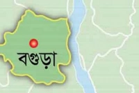 ঘোড়ার মাংস বিক্রির সময় আটক ২