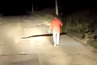 গাড়ি থেকে নেমে বিশাল সাপটি খালি হাতে রাস্তা থেকে সরালেন ব্যক্তি! (ভিডিও)