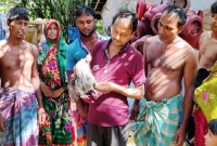 এবার দেখা মিলেছে চার পায়ের মোরগ!