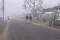 বৃষ্টির-মতো-ঝরছে-কুয়াশা-ভিজে-গেছে-রাস্তাঘাট-