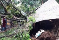 ঘুর্ণিঝড়ে একই পরিবারের তিনজনের মর্মান্তিক মৃত্যু