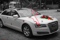 যৌতুকের গাড়ি টেস্ট ড্রাইভ করতে গিয়ে পরিবারের ৫ জনকে পিষে দিলেন বর!