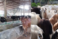 বিবিএ ও এমবিএ করেও পাননি চাকরি, এখন বছরে আয় কোটি টাকা