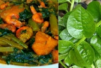  আরও বেশি সুস্বাদু হবে  পুঁই চিংড়ি! জানুন দুর্দান্ত রেসিপি