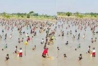 পলো বাইচ উৎসবে মাছ ধরতে হাজার হাজার লোক!