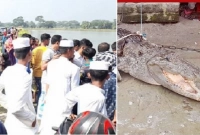 গর্ত দেখে স্থানীয়দের সন্দেহ হয়! পাঁচ সদস্যর দল ঢাকা থেকে আসছেন