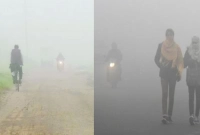 ৫ টি বিষয় খেয়াল রাখুন শীতের শুরুতেই!