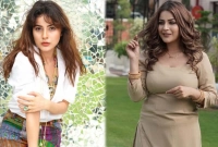 'এভাবে ধাক্কা দিচ্ছেন কেন?' চটলেন শেহনাজ গিল