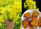 স্বাদের সরিষা ফুলের বড়া তৈরির রেসিপি