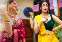 অভিনেত্রী রোশনির বারবার বিয়ে করার কারণ কি?