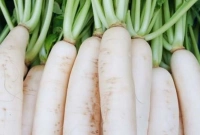  মুলার কেজি মাত্র ১ টাকা!