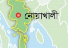 এক রাতেই কুকুরের কামড়ে ১৭৫ ভেড়ার মৃত্যু