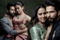 বিমানবন্দরে শাহিদের স্ত্রী মীরা কাপুরকে আটকালো নিরাপত্তারক্ষীরা 