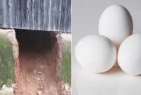 সিঁধ কেটে বসতঘরে ঢুকে ডিম ভেজে ভাত খেয়ে গেছে চোরেরা!