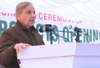 ‘বিরিয়ানি কখন দেওয়া হবে?’ পাক প্রধানমন্ত্রীর ভাষণ থামিয়ে প্রশ্ন এক ব্যক্তির