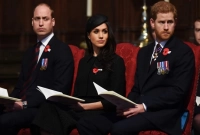 মেগানকে নিয়ে দুই যুবরাজের মধ্যে ব্যাপক হাতাহাতি, আহত প্রিন্স হ্যারি 