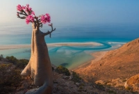 ভারত মহাসাগরের এই দ্বীপে পরতে পরতে লুকিয়ে বিরল রহস্য