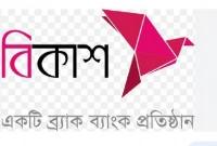 নিয়োগ বিজ্ঞপ্তি প্রকাশ করেছে বিকাশ, আবেদন ১৫ ফেব্রুয়ারি পর্যন্ত নিয়োগ বিজ্ঞপ্তি প্রকাশ করেছে বিকাশ, আবেদন ১৫ ফেব্রুয়ারি পর্যন্ত