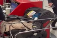 'এরকম ঘটনা কখনো দেখিনি, আমরা যা দেখছিলাম তা বিশ্বাস করতে পারছিলাম না'