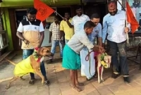 ভালোবাসা দিবসে প্রেমিক-প্রেমিকারা জনসমক্ষে 'নোংরামি' করে! বিরোধিতা করতেই দুই কুকুরের বিয়ে!