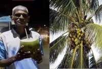 ২৪ বছর ধরে শুধু নারকেল খেয়ে বেঁচে আছেন তিনি!