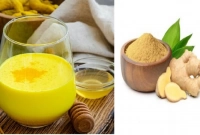 আদা গুঁড়োর সঙ্গে দুধ মিশিয়ে খান আর ম্যাজিক দেখুন!