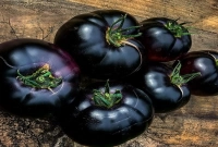 কালো রঙের নতুন জাতের টমেটো চাষে জামিলের বাজিমাত! কালো রঙের নতুন জাতের টমেটো চাষে জামিলের বাজিমাত!